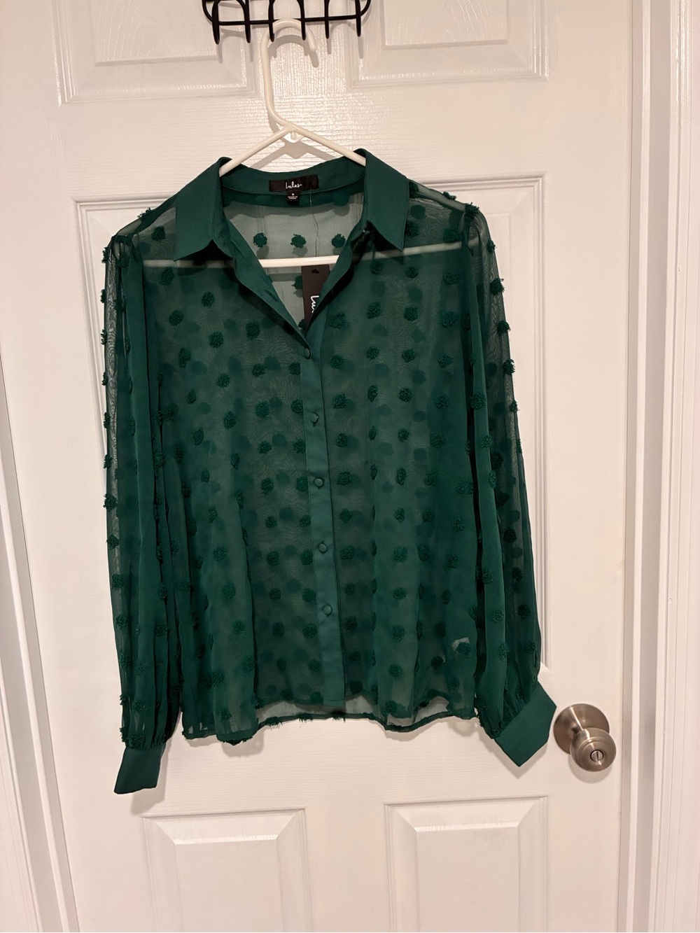Lulu's Teal Green Sheer Dot Button-Down Blouse